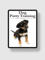 Dog Potty Training