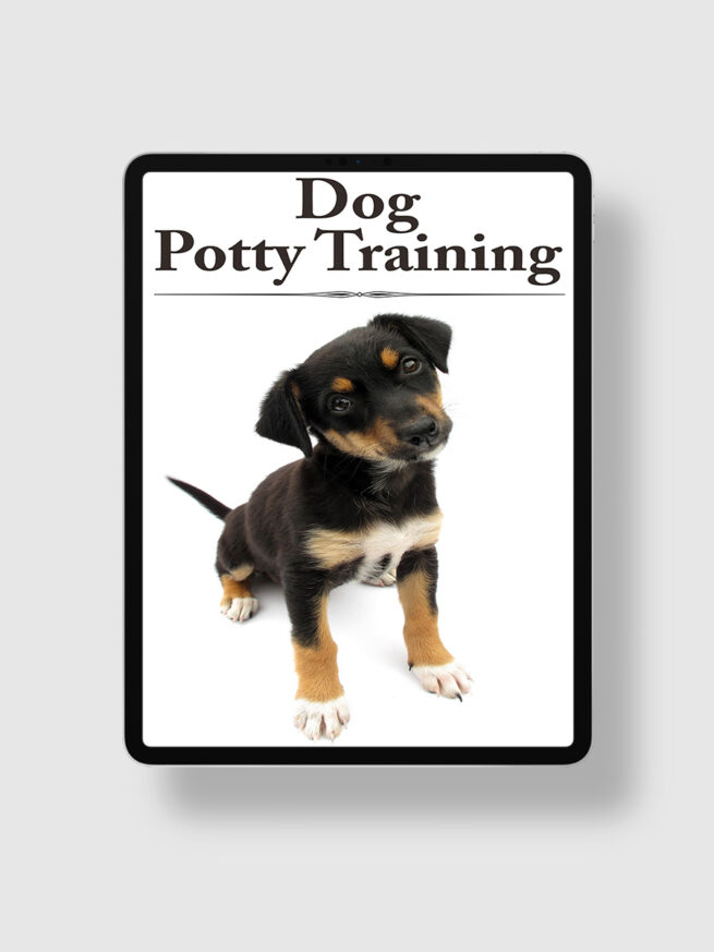 Dog Potty Training The Life Hack Library