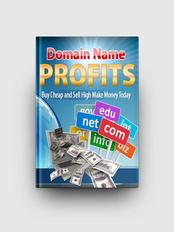 Domain Name Profits