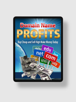 Domain Name Profits ipad