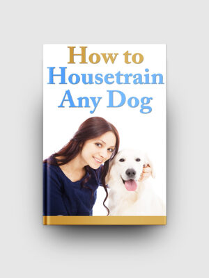 How To Housetrain Any Dog