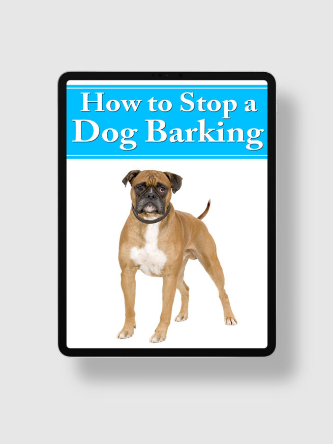 How To Stop A Dog Barking The Life Hack Library