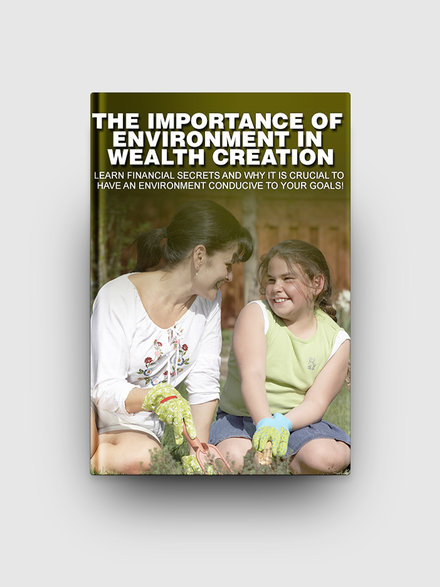 The Importance Of Environment In Wealth Creation | The Life Hack Library