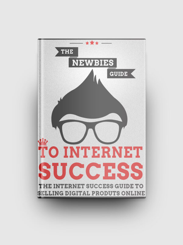 The Newbies Guide To Internet Success