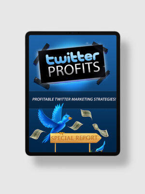 Twitter Profits ipad