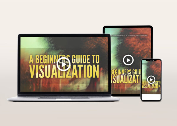 A Beginners Guide To Visualization Video Program