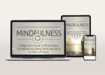 Mindfulness Video Program